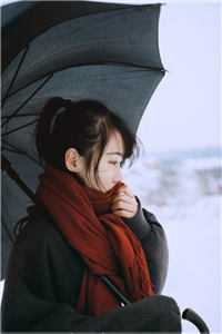 盛宠如意
